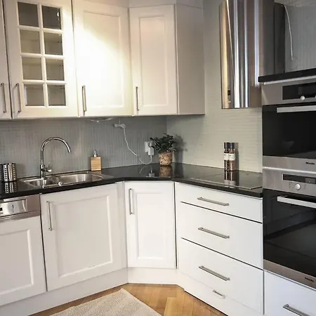 Live In A Stylish In The Center Of Apartment Oslo