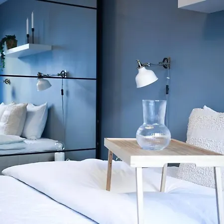 Live In A Stylish In The Center Of Apartment